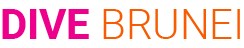 Dive Brunei